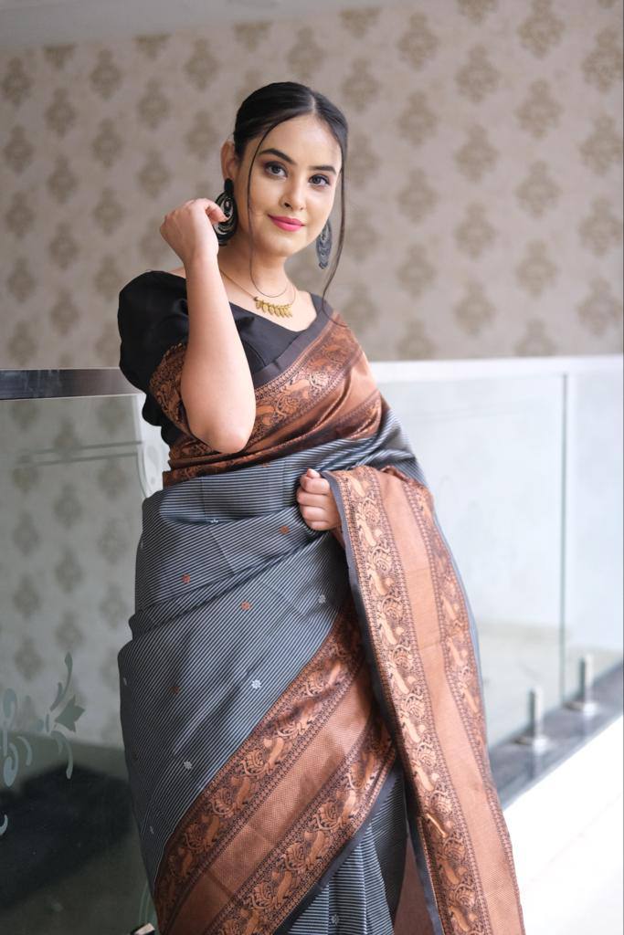 Black Banarasi Beautiful Zari Work In Form Of Traditional Motifs Soft Silk Saree