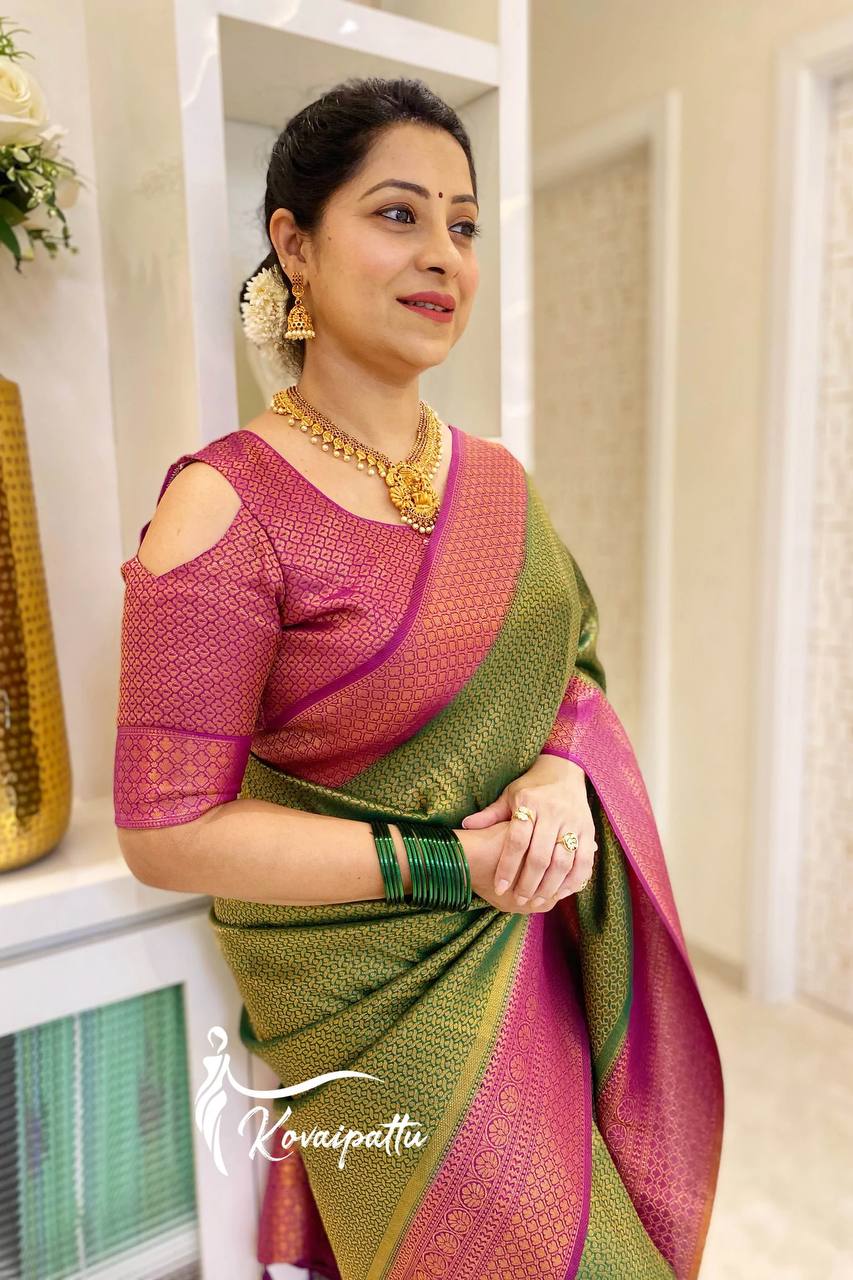 Stunning Green Colour Saree With Purple Border & Heavy Brocade Blouse Banarasi Beautiful Zari Work In Form Of Traditional Motifs Soft Silk Saree