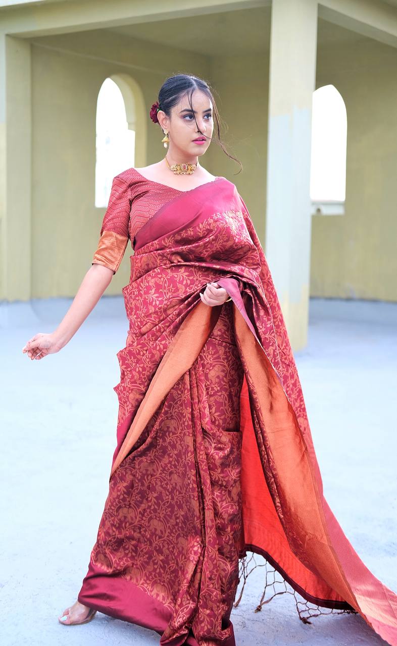 Classic Embroidered Saree Set – Punit Balana